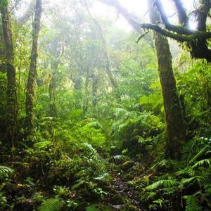 Meet your Posher, Gabriel